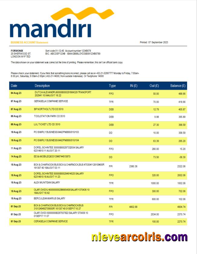Bank Mandiri organization bank statement